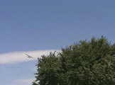 Small plane on final 