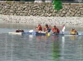 Milk carton regatta