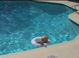 Child swimming in swimming pool