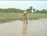 fishing on river in cambodia