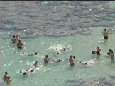 snorkeling in hamama bay hawaii