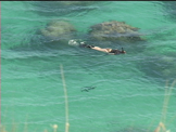 snorkeling in hamama bay hawaii