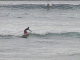  surfing  from north shore hawaii