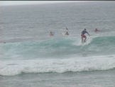 surfing  from north shore hawaii