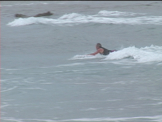 surfing  from north shore hawaii