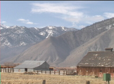 hawk on farmhouse with Sierra Nevada Mountains in background