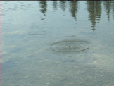 stones thrown in lake