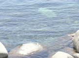 sparkling water on Lake Tahoe