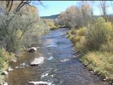 stream with autumn trees