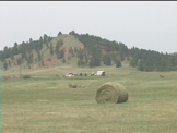 midwestern farm and fields