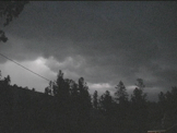 Summer lightning storm in forest at night