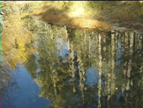 reflection of fall trees in lake